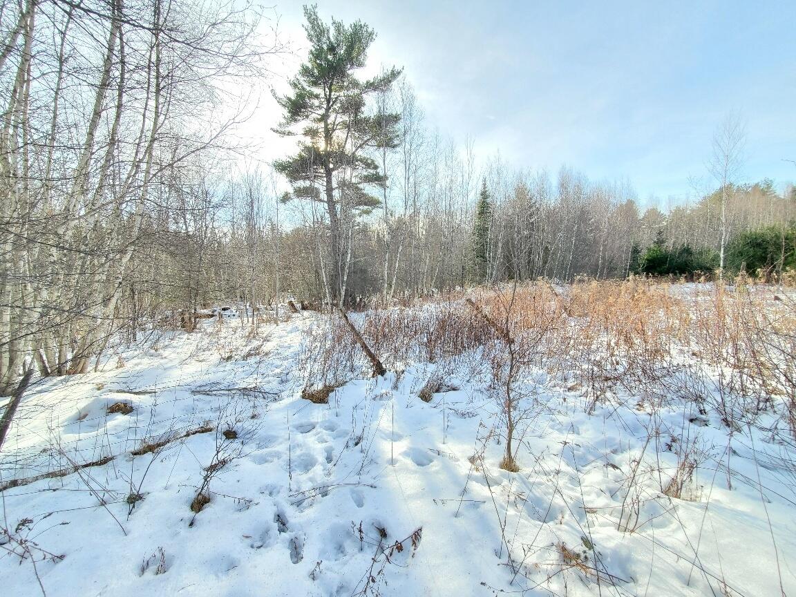 999 Main Road Eddington ME 04428