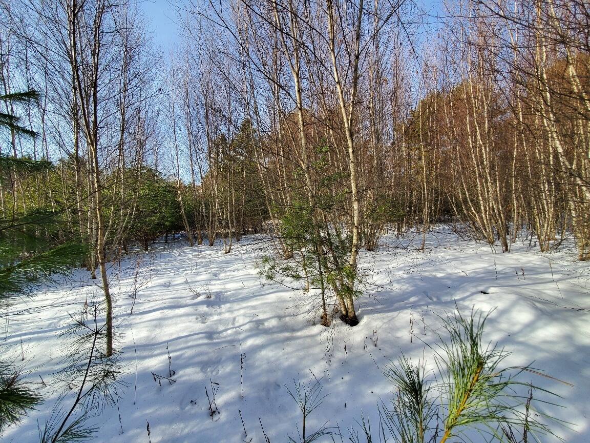 999 Main Road Eddington ME 04428