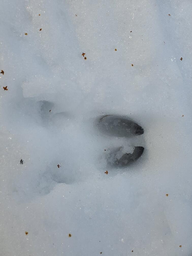 999 Main Road Eddington ME 04428