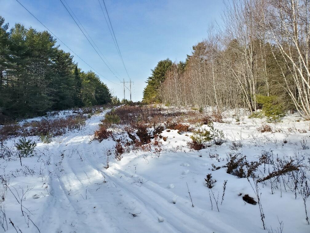 999 Main Road Eddington ME 04428