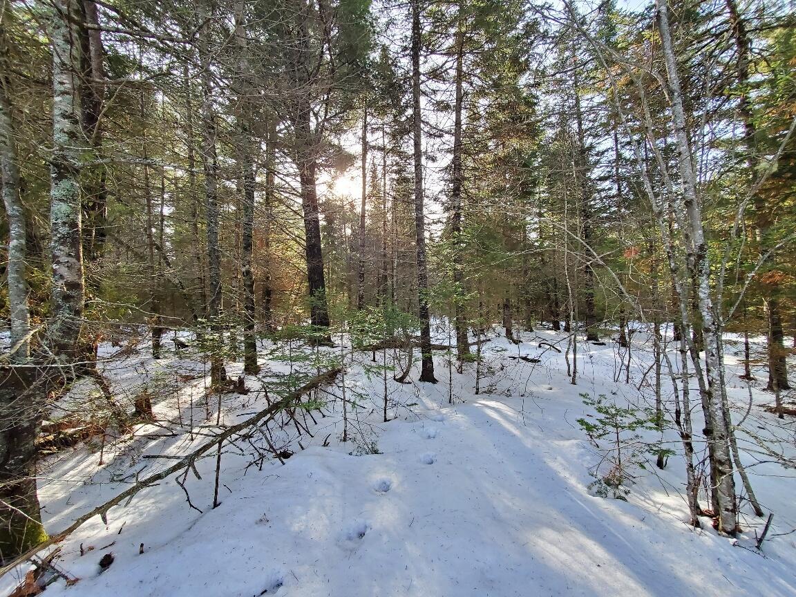 999 Main Road Eddington ME 04428