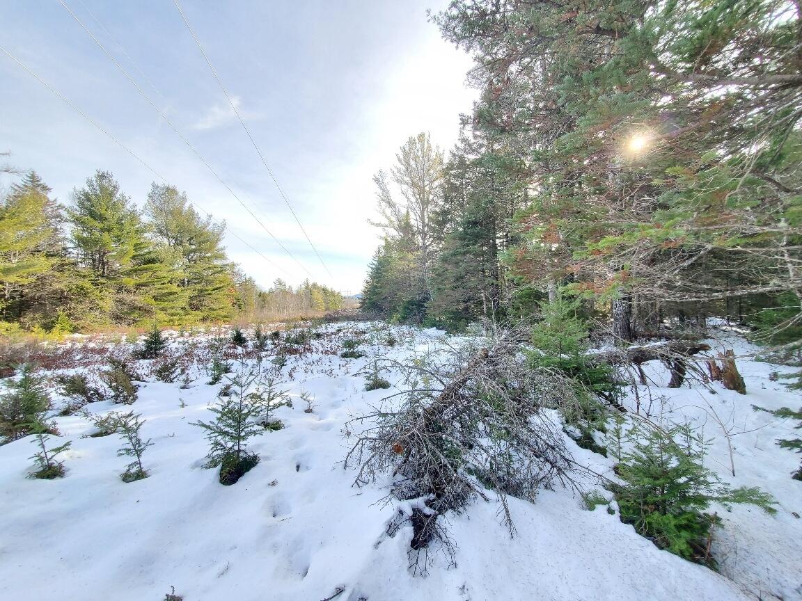 999 Main Road Eddington ME 04428