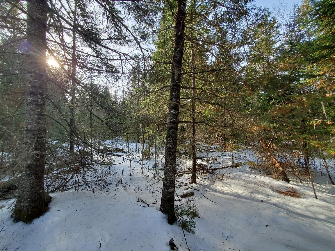 999 Main Road Eddington ME 04428