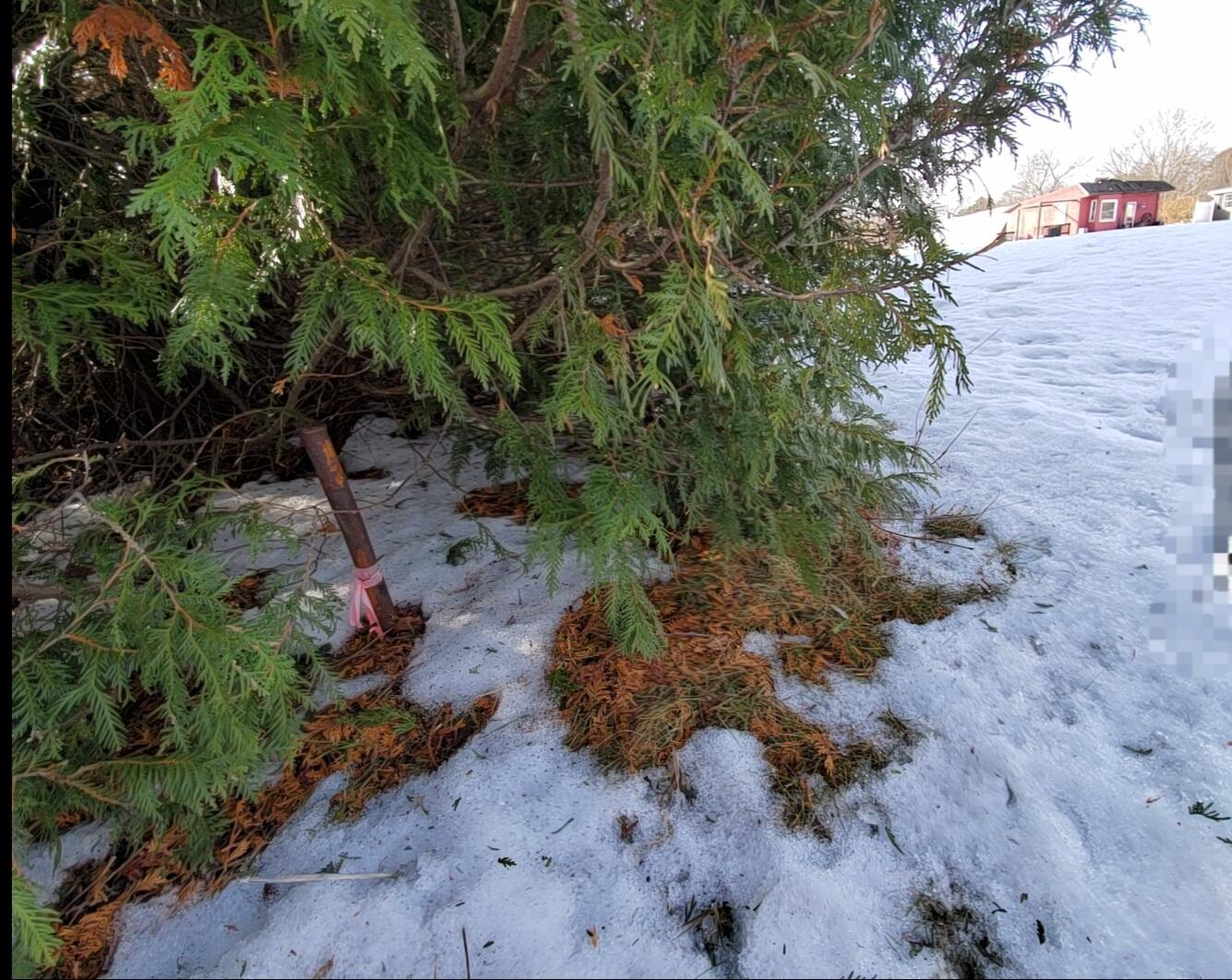 999 Main Road Eddington ME 04428