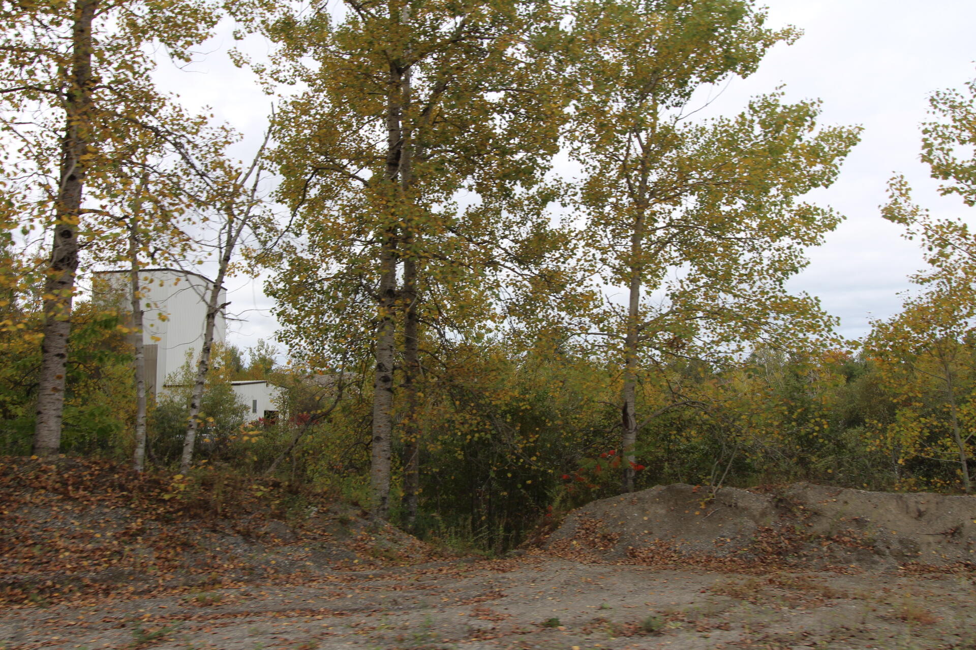 185 Belmont Avenue Belfast ME 04915