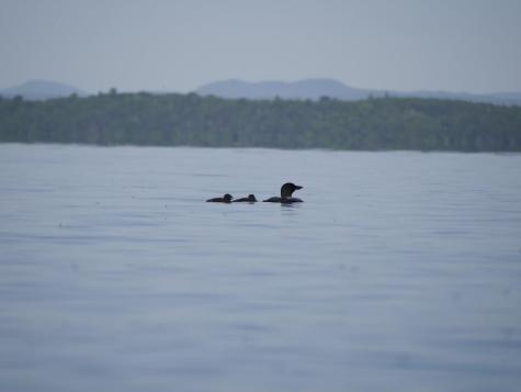 648 Black Point Road Beaver Cove ME 04441