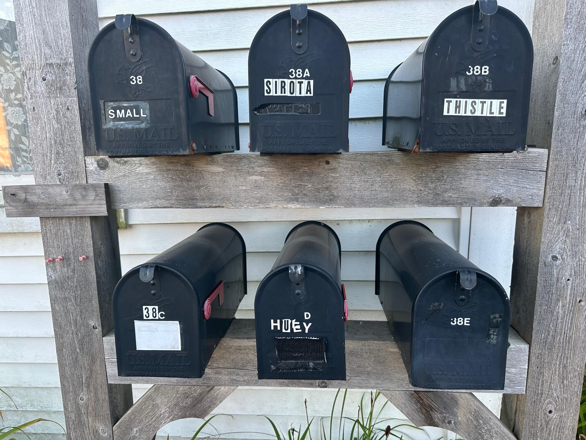 38 Spring Street Belfast ME 04915