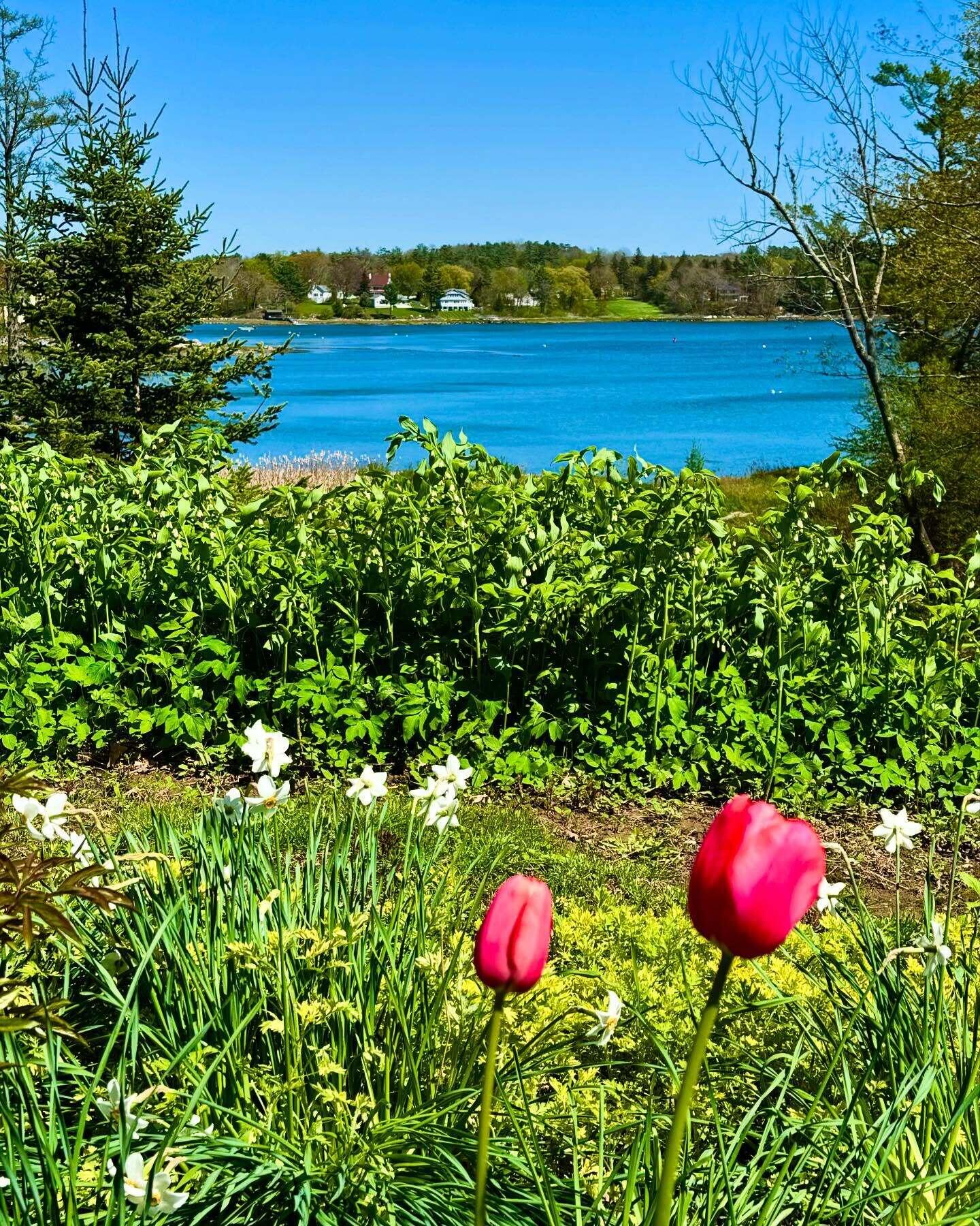 60 River Road Newcastle ME 04553