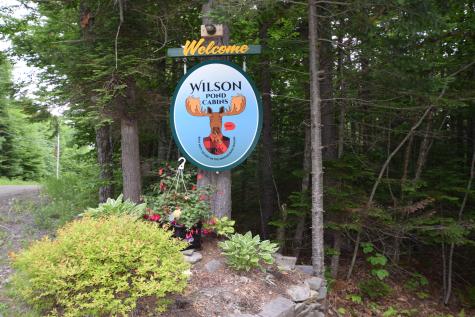 15 Wilson Pond Road Greenville ME 04441