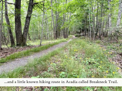 18 Hamor Lane Bar Harbor ME 04609