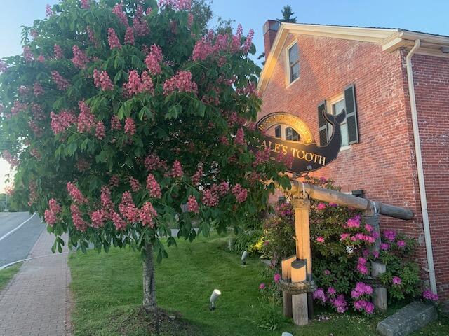 2531 Atlantic Highway Lincolnville ME 04849