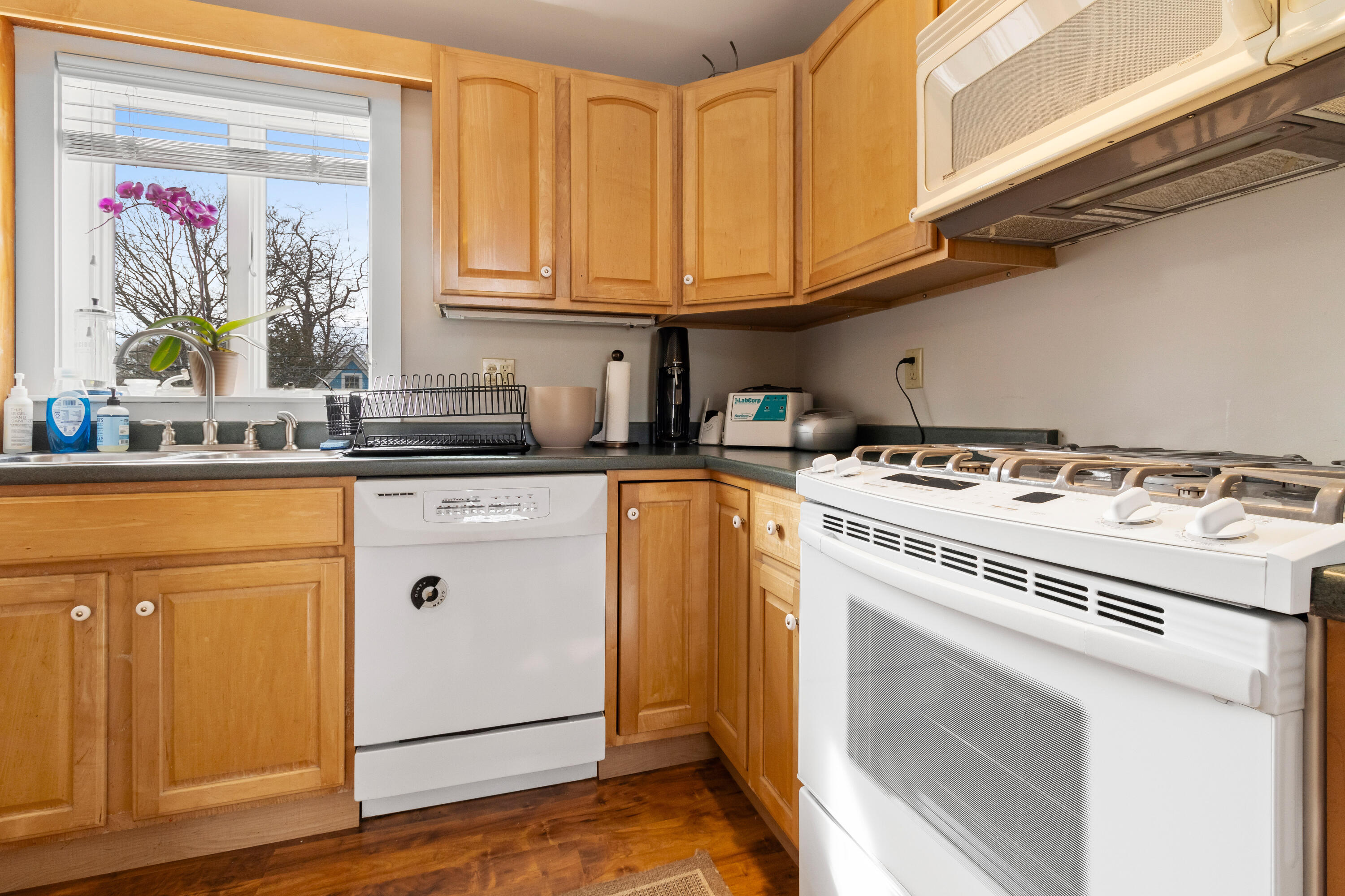 20 Summer Street Rockland ME 04841