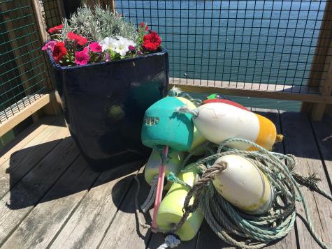 45 Main Street Stonington ME 04681