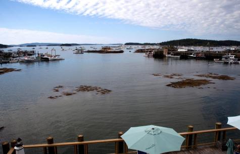 45 Main Street Stonington ME 04681