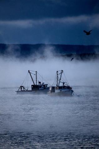 45 Main Street Stonington ME 04681