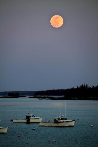 45 Main Street Stonington ME 04681