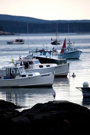 45 Main Street Stonington ME 04681