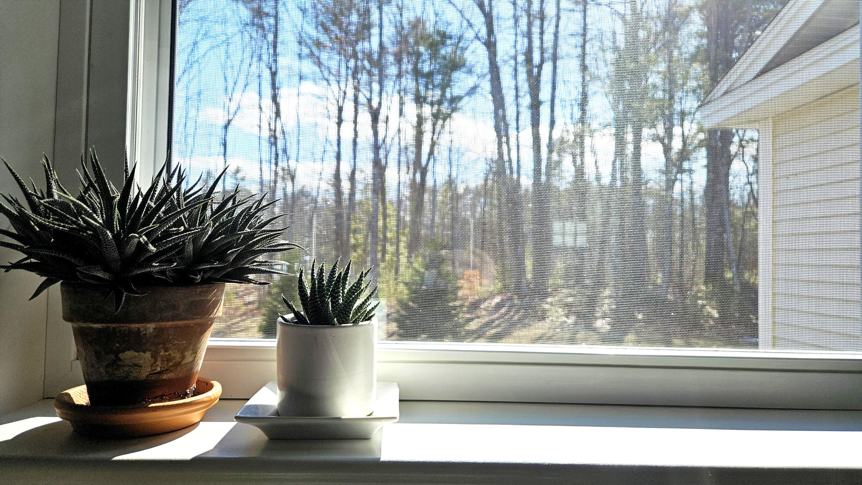 15 Webhannet Place Kennebunk ME 04043