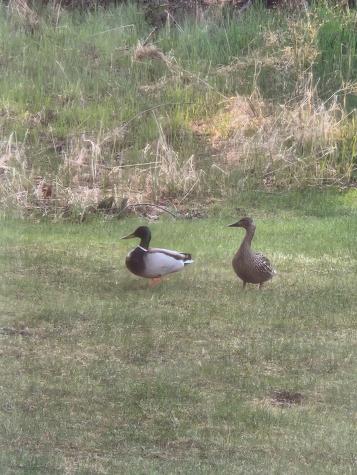 30 Tourmaline Lane Auburn ME 04210