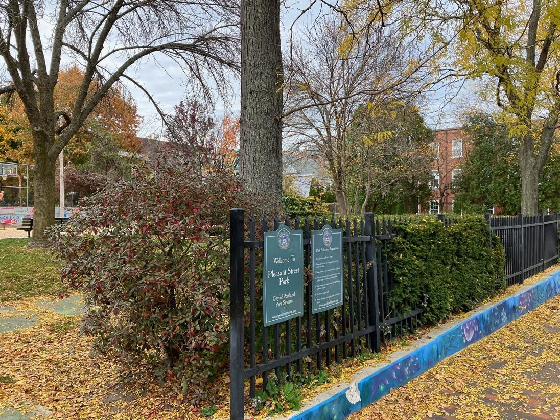 37 Pleasant Street Portland ME 04101