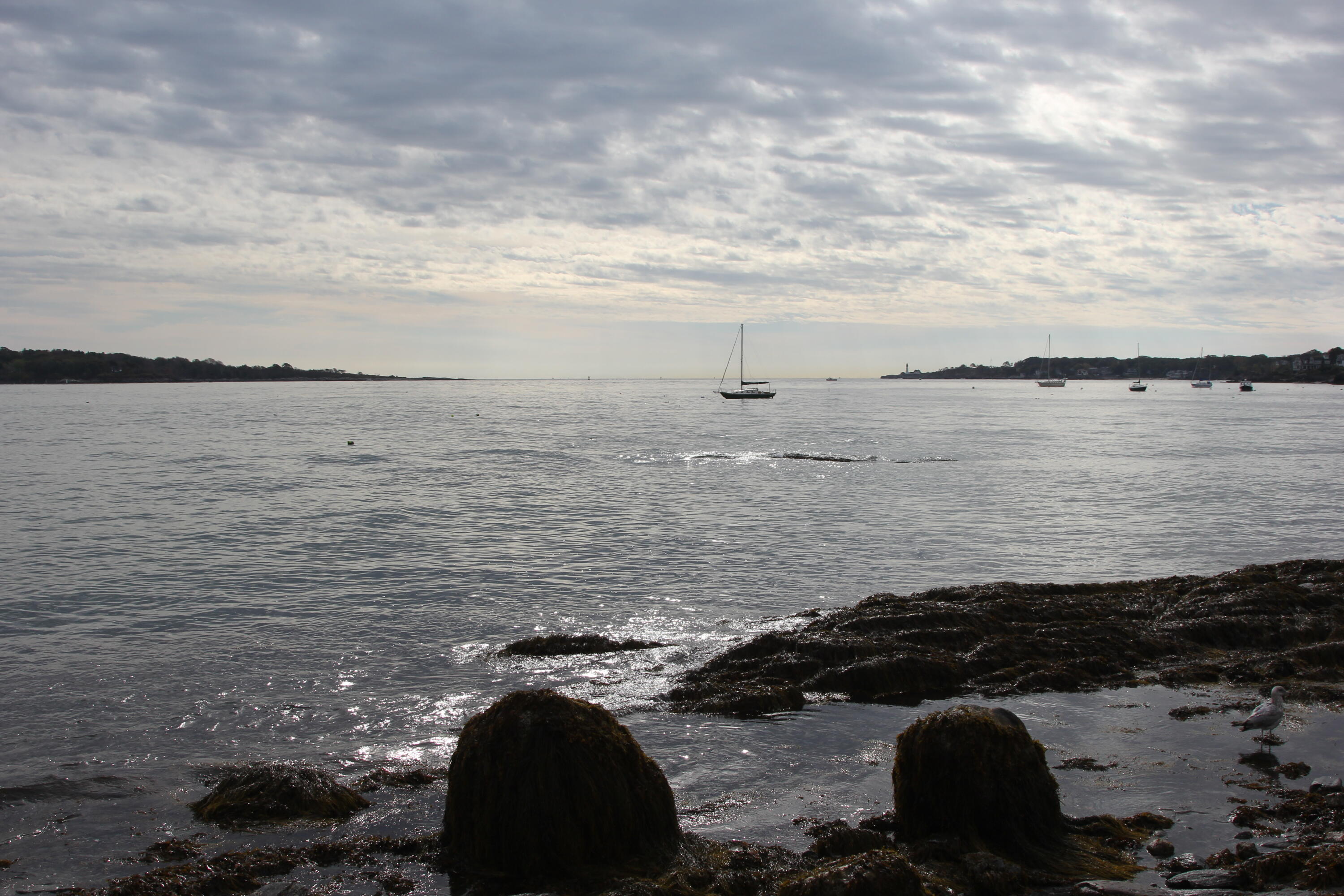 148 Breakwater Drive South Portland ME 04106