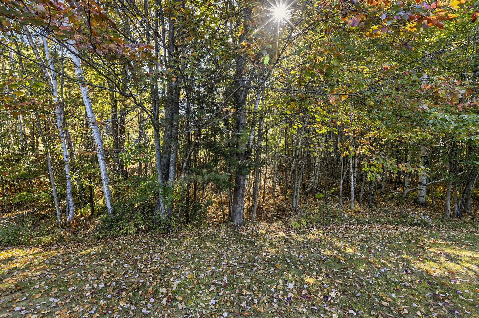 203 Bluff Road Yarmouth ME 04096