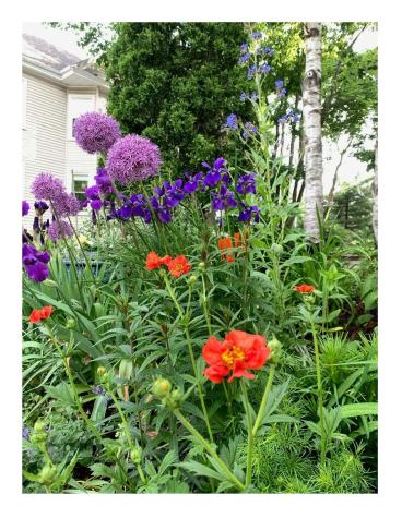 55 Payson Street Portland ME 04102