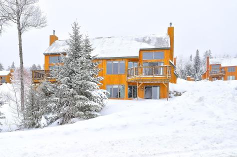 14 Black Gnat - Week D Lane Sandy River Plt ME 04970