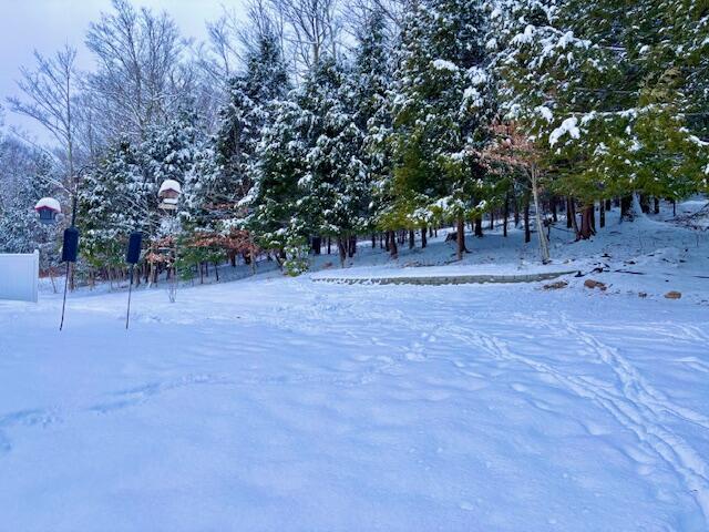 24 Hazel Lane North Yarmouth ME 04097