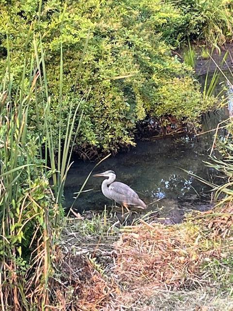 26 Walnut Street Old Orchard Beach ME 04064