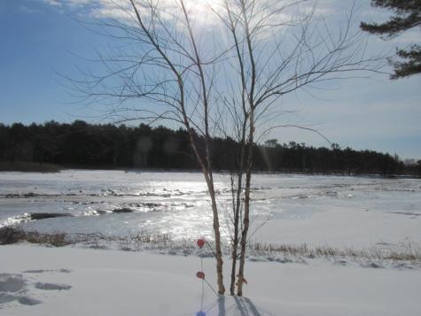 16 Larboard Lane Kennebunk ME 04043