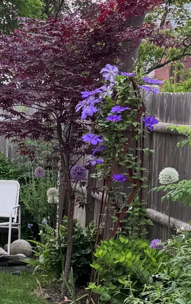 1 Joy Place Portland ME 04102