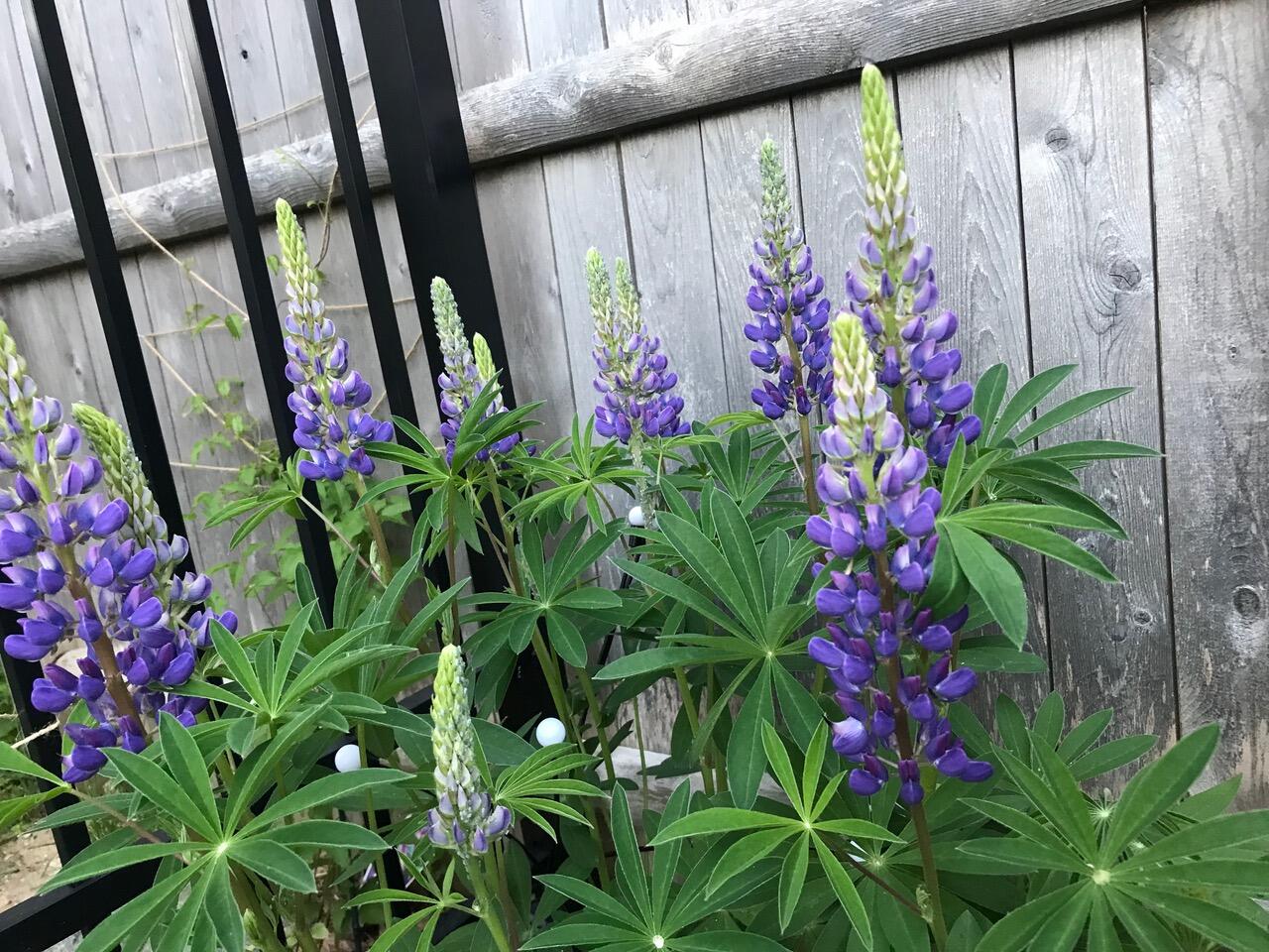 1 Joy Place Portland ME 04102