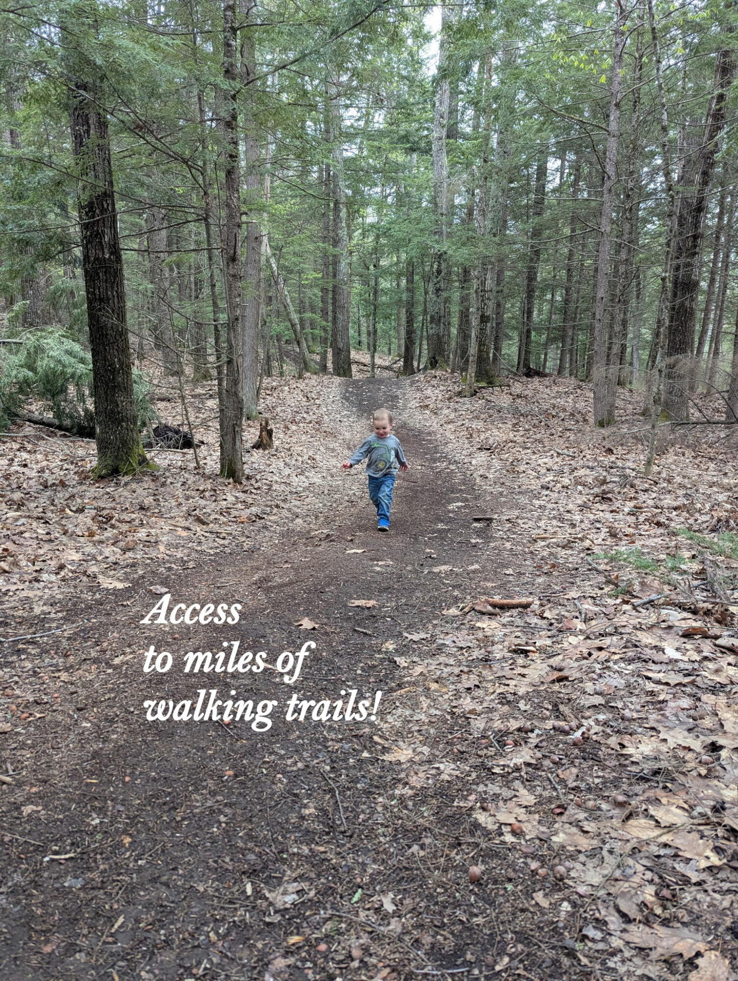 8 Cortland Place Standish ME 04084