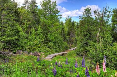 19-1 South Branch Way Sandy River Plt ME 04970