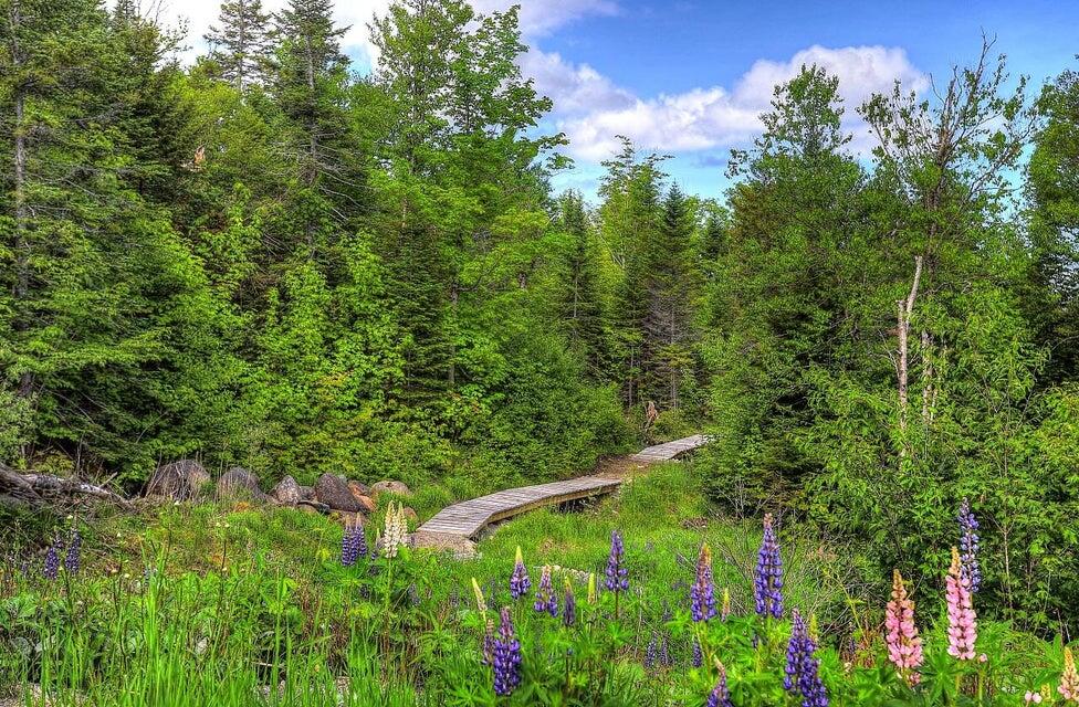 19-1 South Branch Way Sandy River Plt ME 04970