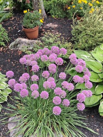 23 Clifford Road Naples ME 04055