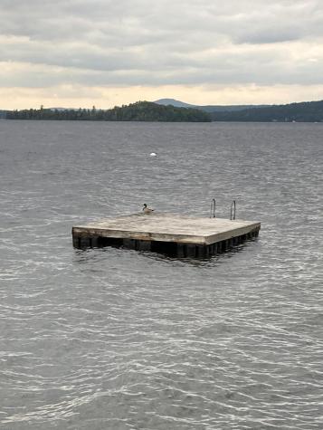 747 South Shore Drive Rangeley Plt ME 04970