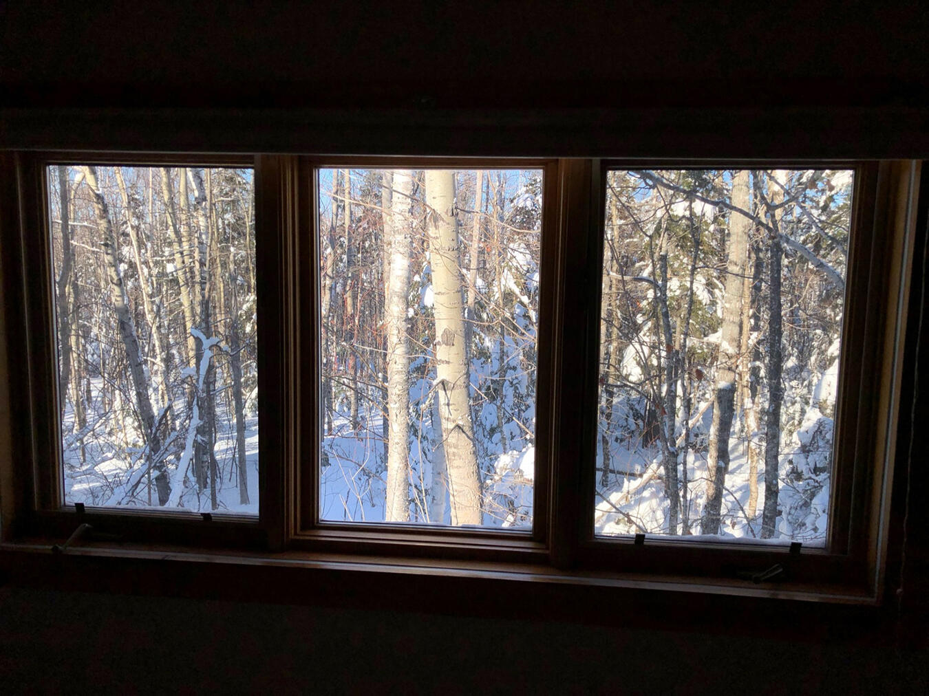 2023 Spaulding Mountain Court Carrabassett Valley ME 04947