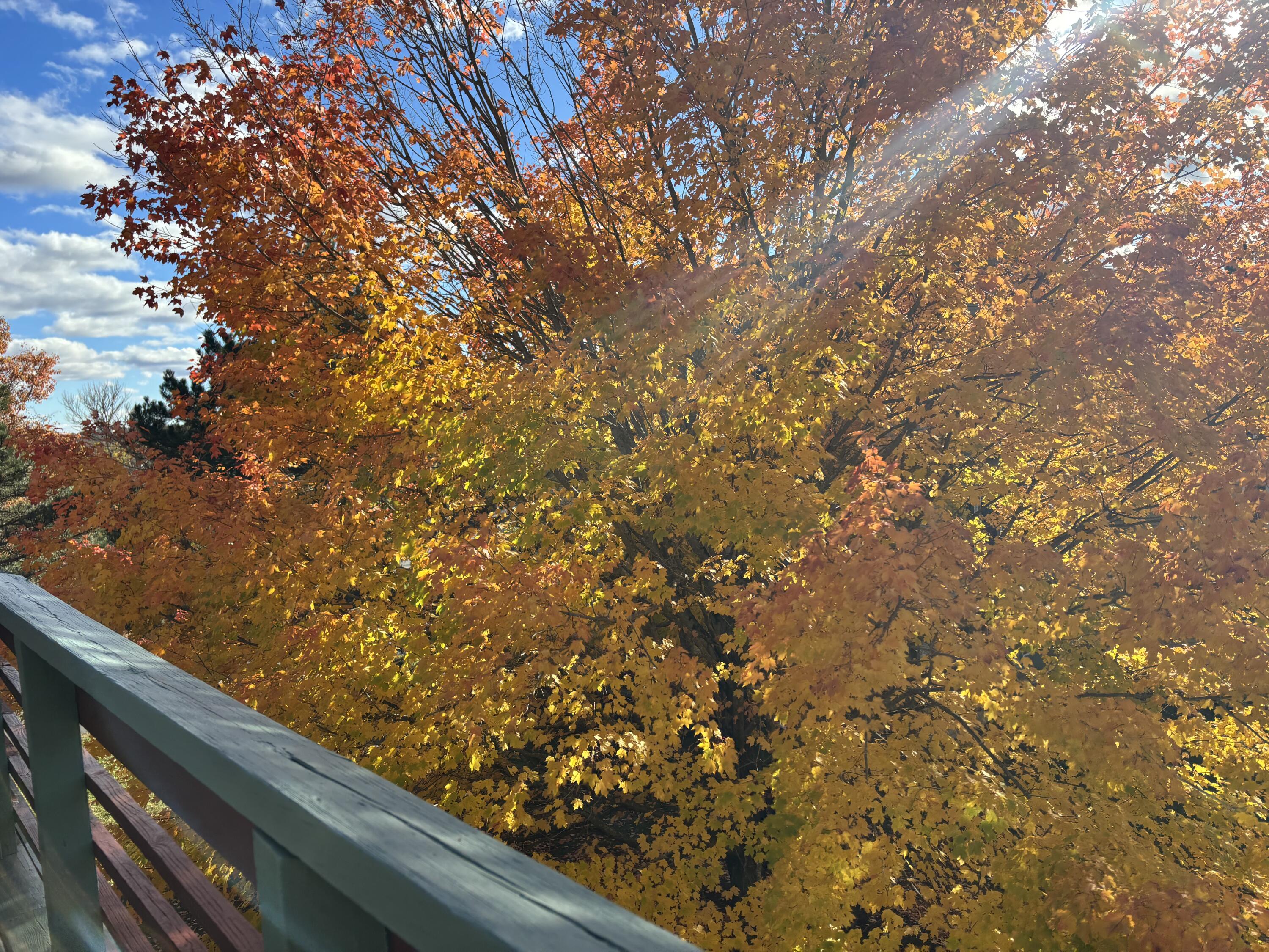 250 Husson Avenue Bangor ME 04401