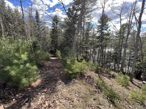 46 Tinker Meadow Way Ellsworth ME 04605