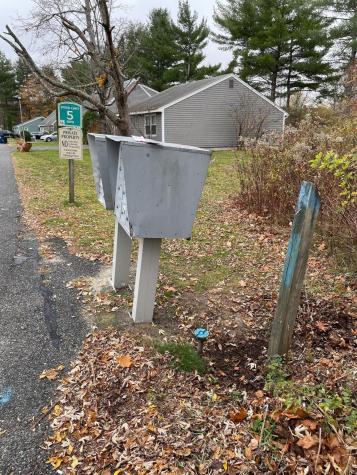 1 Dale Court Portland ME 04102