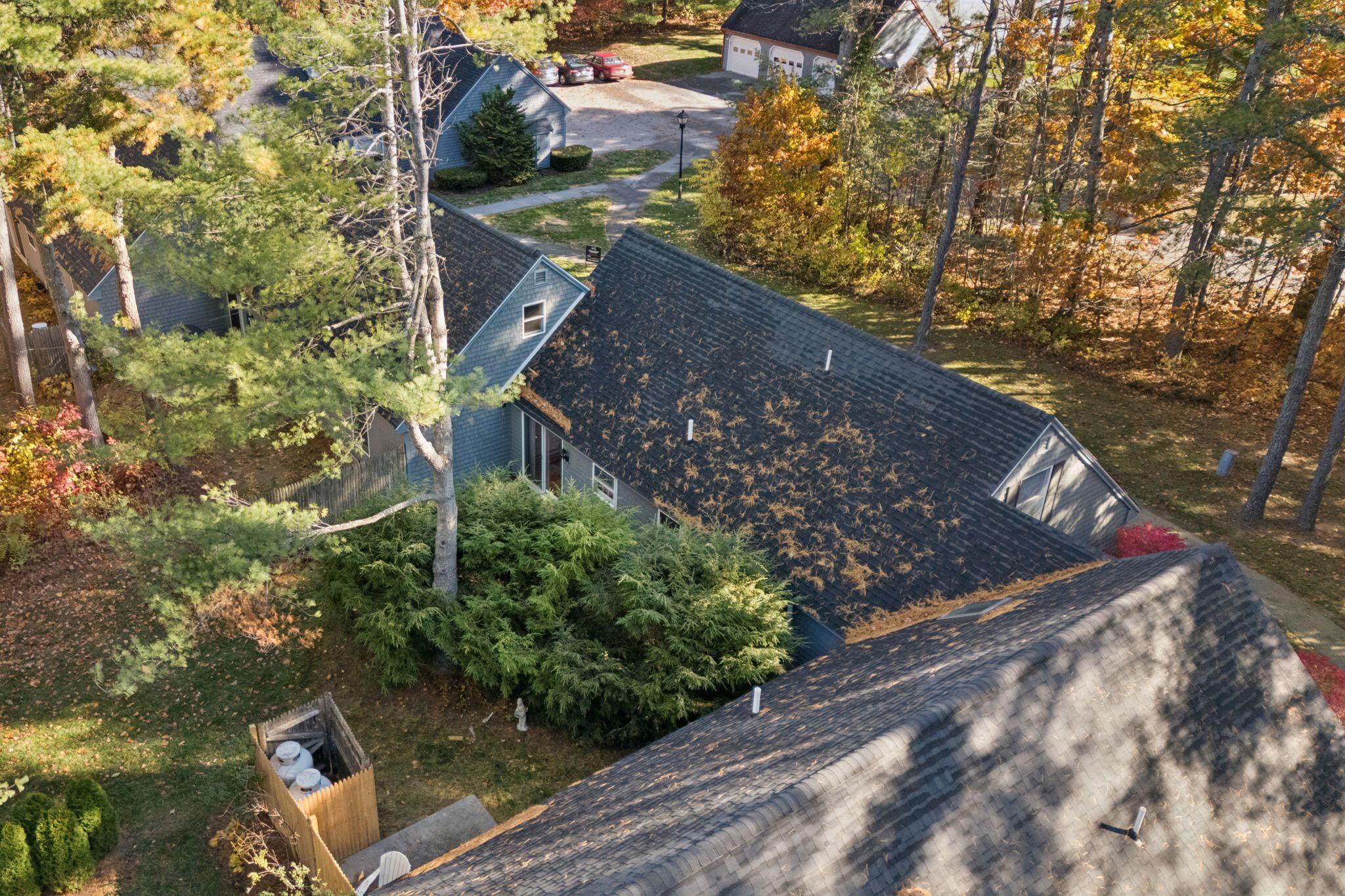 19 Ward Circle Brunswick ME 04011