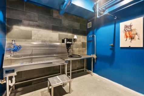 75 Chestnut Street Portland ME 04101