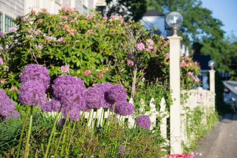 488 Main Street Ogunquit ME 03907