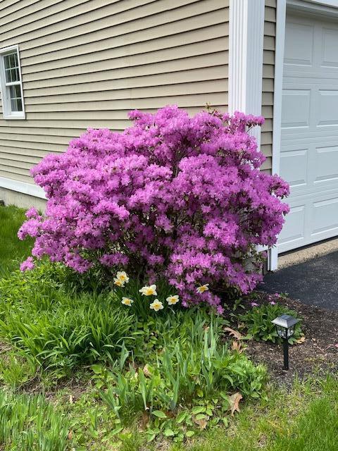 28 Lone Pine Lane Yarmouth ME 04096
