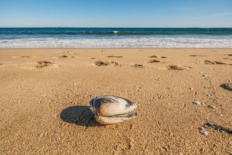 7 Bay Avenue Old Orchard Beach ME 04064