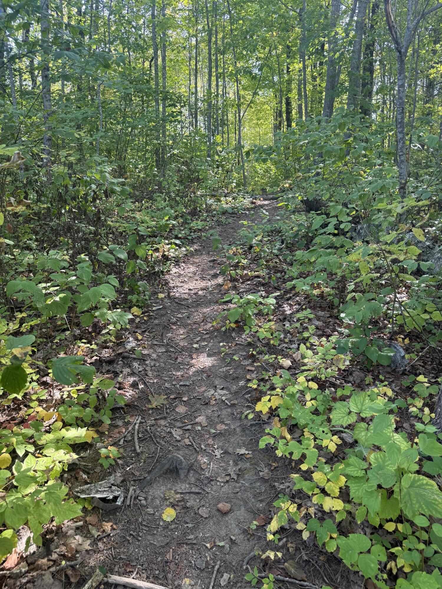 574 Main Street Damariscotta ME 04543