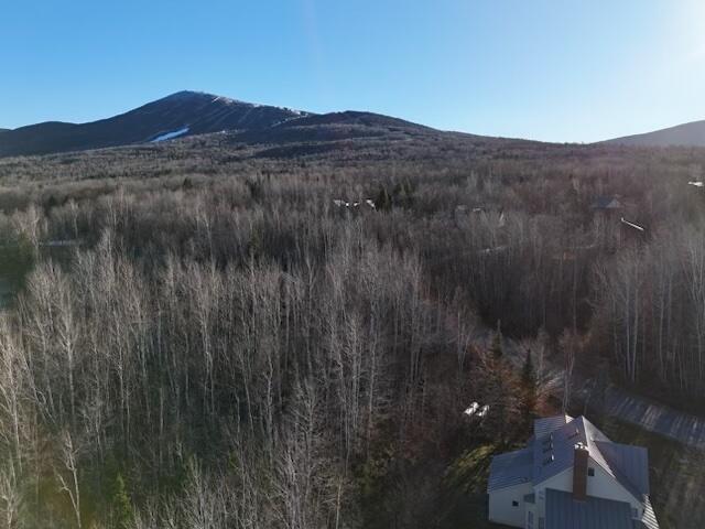 6071 Village On The Green Road Carrabassett Valley ME 04947