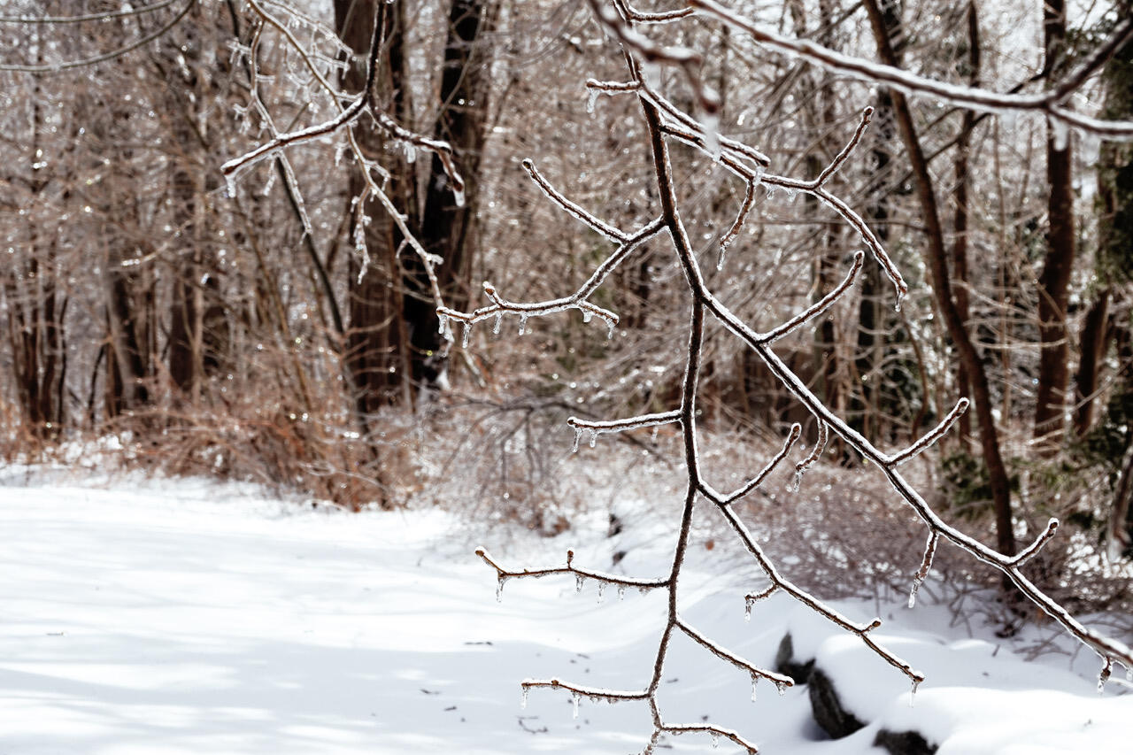 3 Kerry Gardens Belfast ME 04915